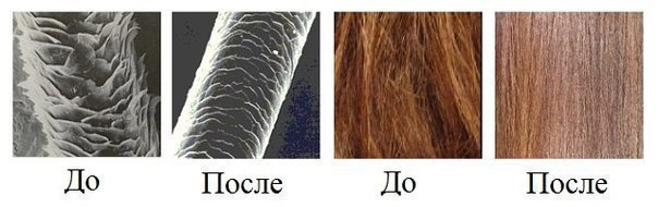 Структура волоса