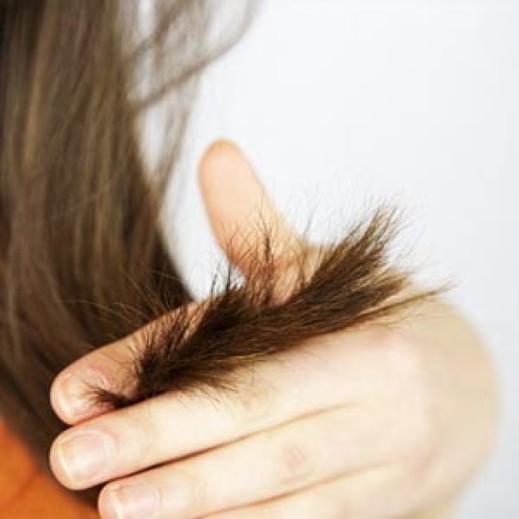 Маски для избавления от секущихся волос на кончиках