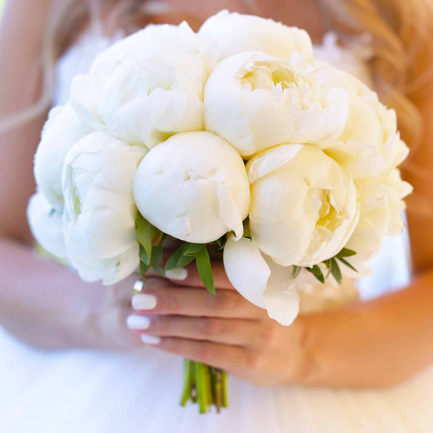 Свадебные букеты: что учесть при выборе и создании букета для невесты?